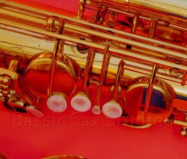 Couf Superba I bass #87xxx