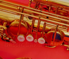 Couf Superba I bass #87xxx