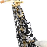 Source: sweetwater.com Keilwerth ICON alto sax neck, 100th Anniversary SX90R model,