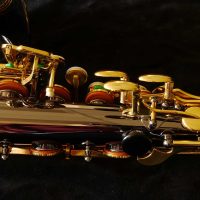 JK2400-5B-0 Black Nickel SXR Alto. Source: H. Kahlke