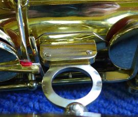 Photo by H. Kahlke ©2016