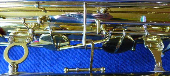 Photo by H. Kahlke ©2016