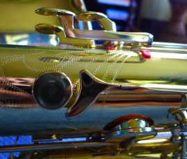 Photo by H. Kahlke ©2016