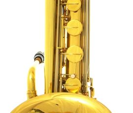 Source: Music Factory Direct on eBay.com Jinyin bass saxophone, long wrap bass, Chinese bass sax, vintage American style, Conn New Wonder bass sax copy