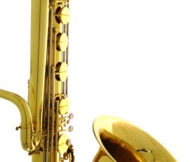 Source: Music Factory Direct on eBay.com Jinyin bass saxophone, long wrap bass, Chinese bass sax, vintage American style, Conn New Wonder bass sax copy