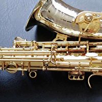 Dave Guardala alto # unknown. Made in China or Taiwan. Source: selmervi on eBay. com Dave Guardala alto sax, Asian-made saxophone, lacquer with silver bell and neck
