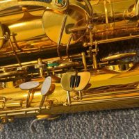 Serial # unknown. Source: rusbra_0 on eBay.com low A bari sax, Dave Guardala Artist Series baritone saxophone, floral engraving, lacquer saxophone