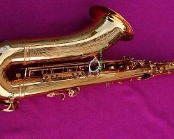 Serial # 0038x. Source: worldwidesax.com DG-500GL, Dave Guardala tenor sax, floral engraving on bell, tenor saxophone, B&S