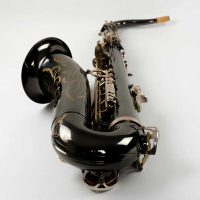 Source: dcsax.com DG-501BN tenor sax, Dave Guardala tenor saxophone, B&S