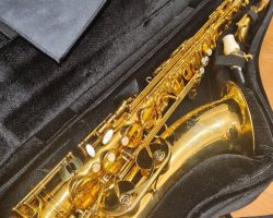 Serial # unknown. Source: no1fieldofjapan on eBay.com DG-500GP, Dave Guardala tenor sax, gold plated tenor saxophone, B&S
