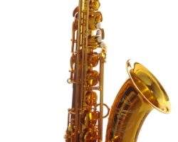 DG-500GL Tenor Sax DG-500GL, Dave Guardala tenor sax, tenor saxophone, B&S