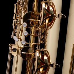 Source: wessex-tubas.com Wessex bass saxophone, Jinbao-made bass saxophone, short wrap bass, stencil sax, Chinese bass sax, Super Action 80 Series II copy,